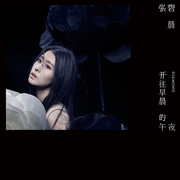 開往早晨的午夜