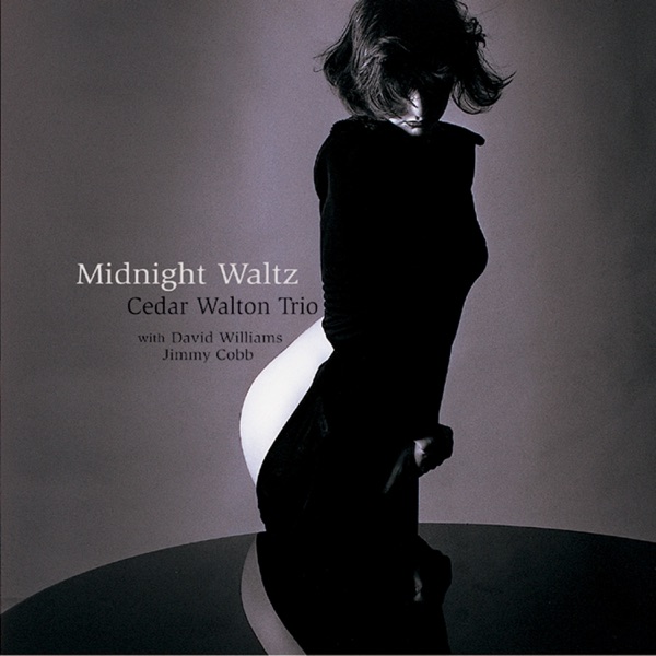 午夜华尔兹 (Midnight Waltz)