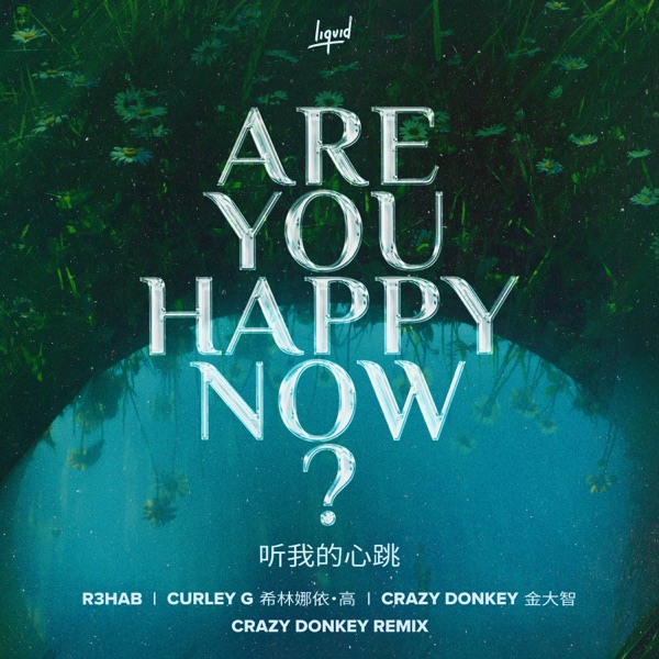 Are You Happy Now (Crazy Donkey Remix) – Single