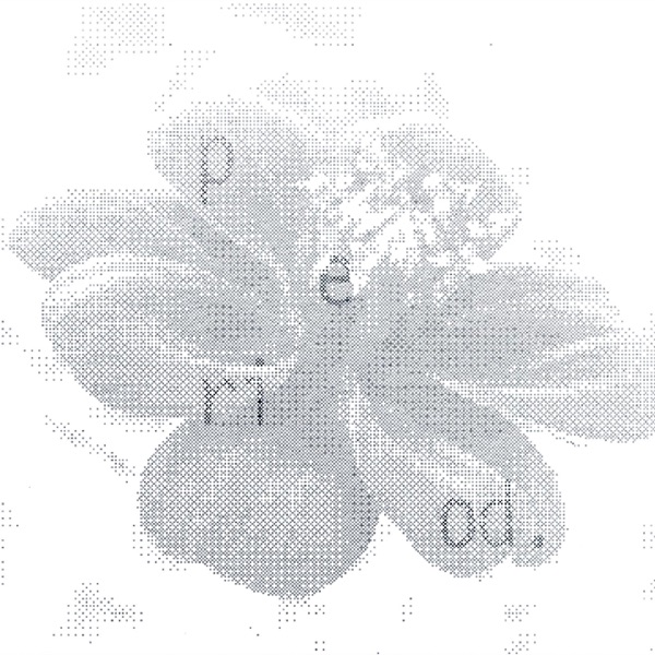 Period – Single