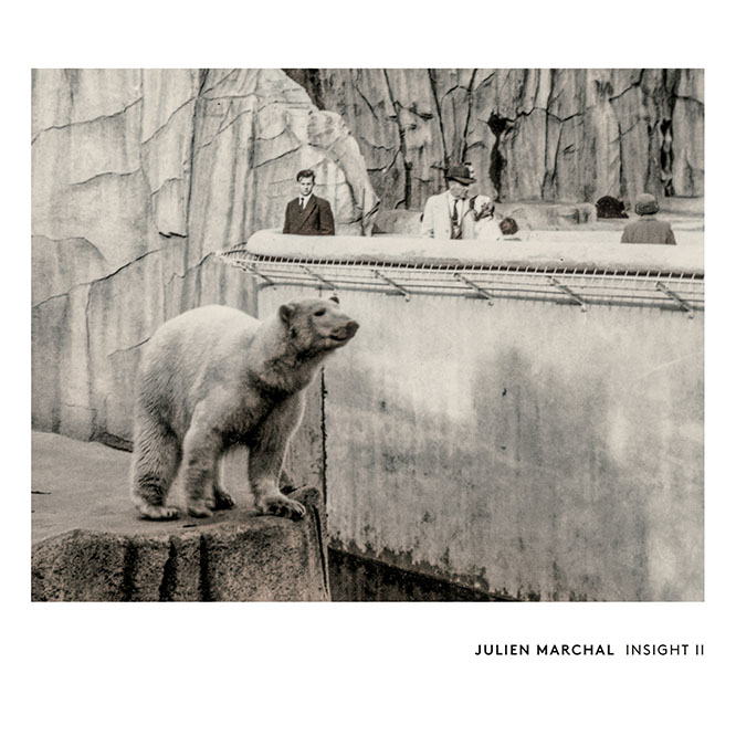 Julien Marchal: Insight II