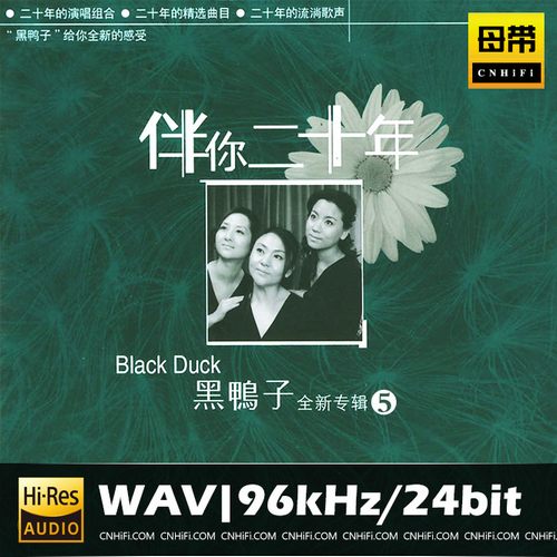 黑鸭子 伴你二十年-外国歌曲专辑