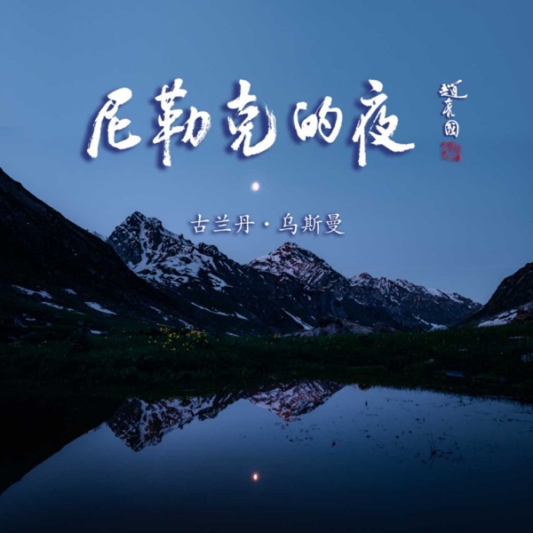 尼勒克的夜