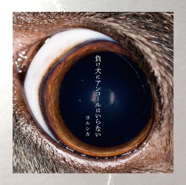 ヨルシカ – 負け犬にアンコールはいらない