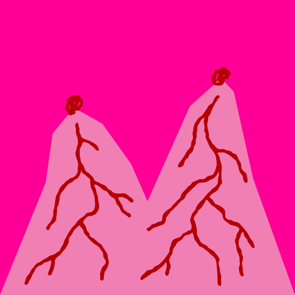 Hidden Album