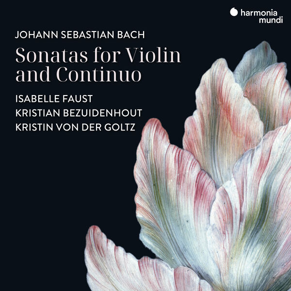 Johann Sebastian Bach: Sonatas for Violin and Continuo