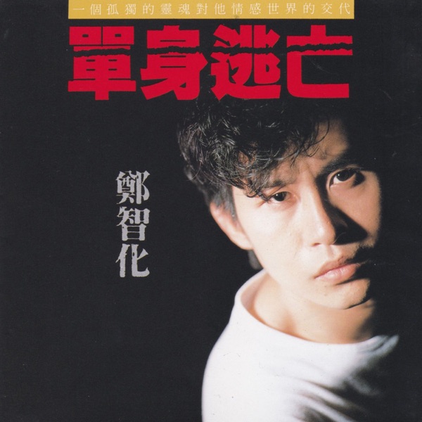Dan Shen Tao Wang