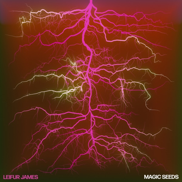 Magic Seeds II