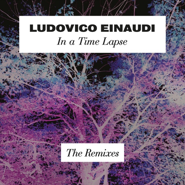 In A Time Lapse (The Remixes)