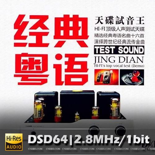 王闻&童丽 经典粤语 DXD