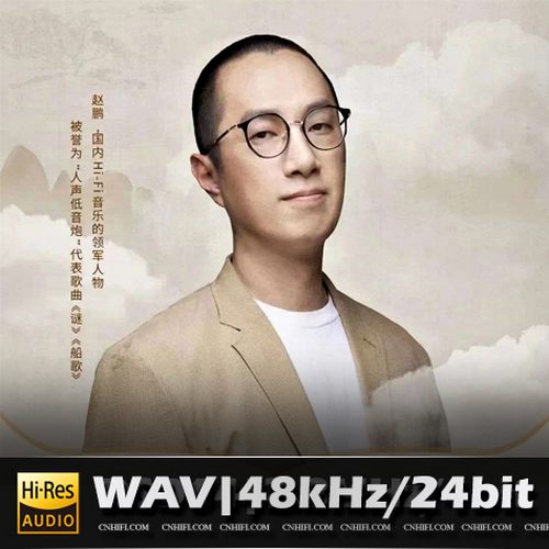 赵鹏《谜》