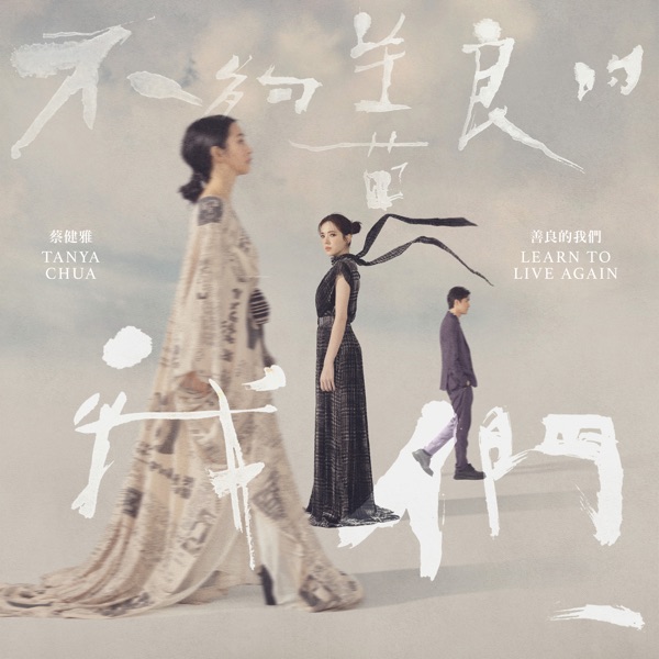 蔡健雅 – 善良的我们