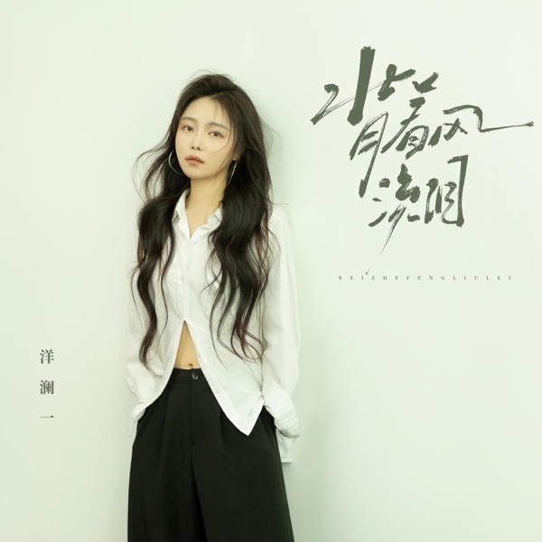 背着风流泪 (DJ小蒋版) – Single