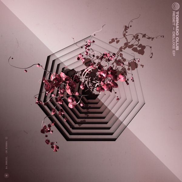Reset (Deluxe EP)