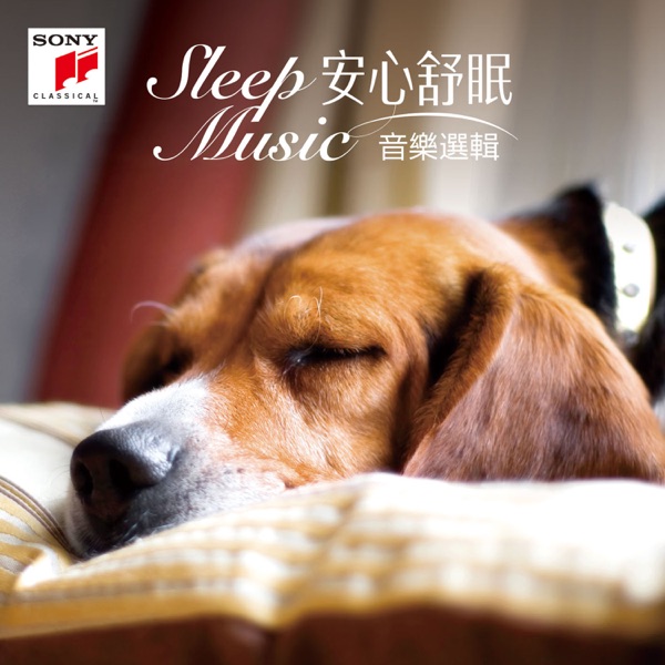 童丽 爱的月光