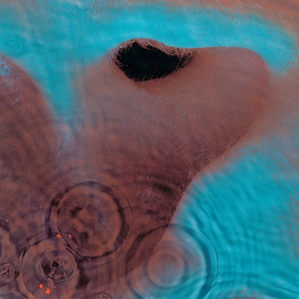 Meddle (2011 – Remaster)