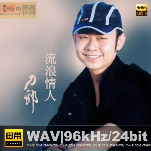 刀郎 流浪情人