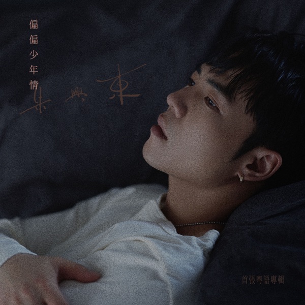 朱兴东 – 偏偏少年情