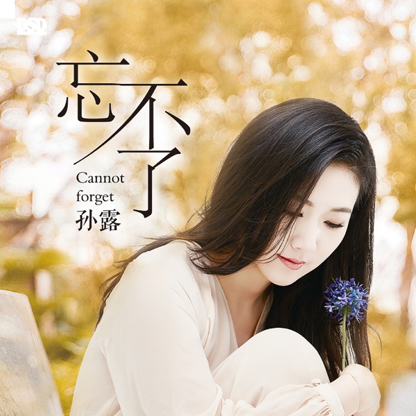 孙露 忘不了